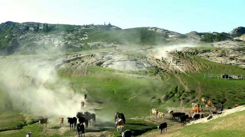 掌上牧场捍卫舌尖安全：新疆阿勒泰羊羔从牧场直达餐桌，全程有机健康