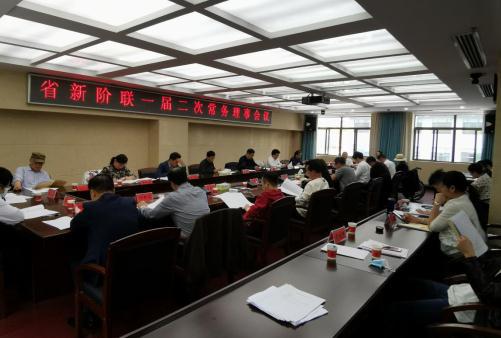 龙建湘出席湖南省新阶联一届二次常务理事会