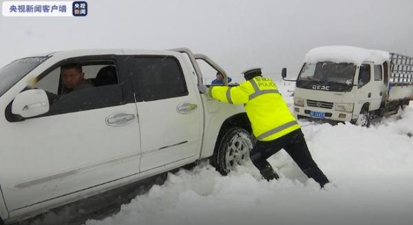 新疆特克斯现大范围降雪降温 牧区近500牲畜受冻死亡