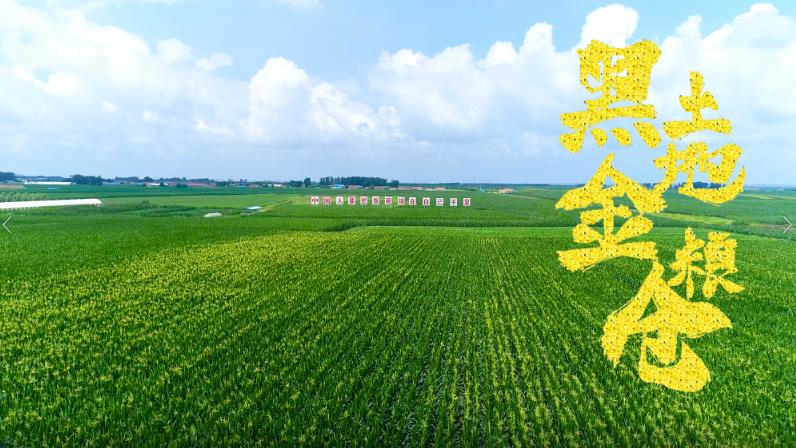 吉林习近平--梨树县国家绿色玉米生产基地的第一站