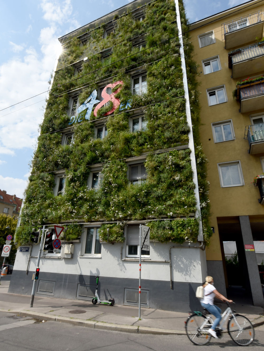 维也纳：一座穿着绿色西装的市政办公楼