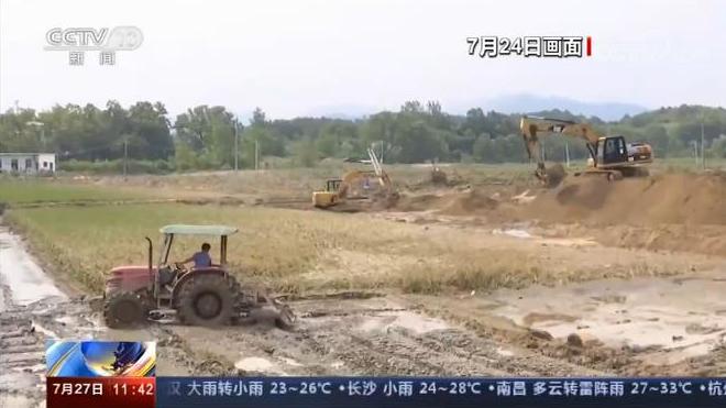 湖北省757100亩受洪水影响的农作物积极生产和自救