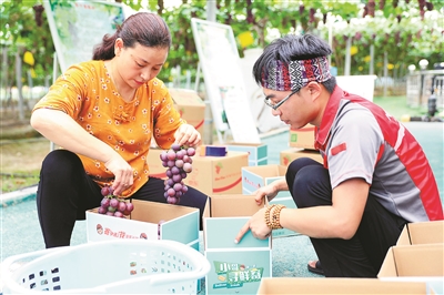 普江葡萄在江苏、浙江和上海可在24小时内食用。