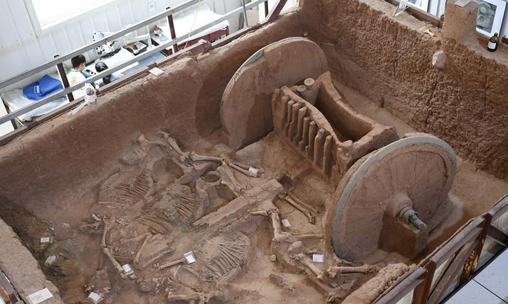陕西保护与修复2800年前的西周青铜轮齿架