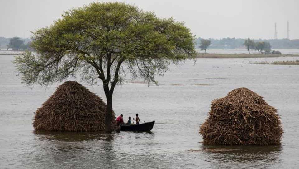 印度比哈尔邦的洪水造成19人死亡，666万人受灾