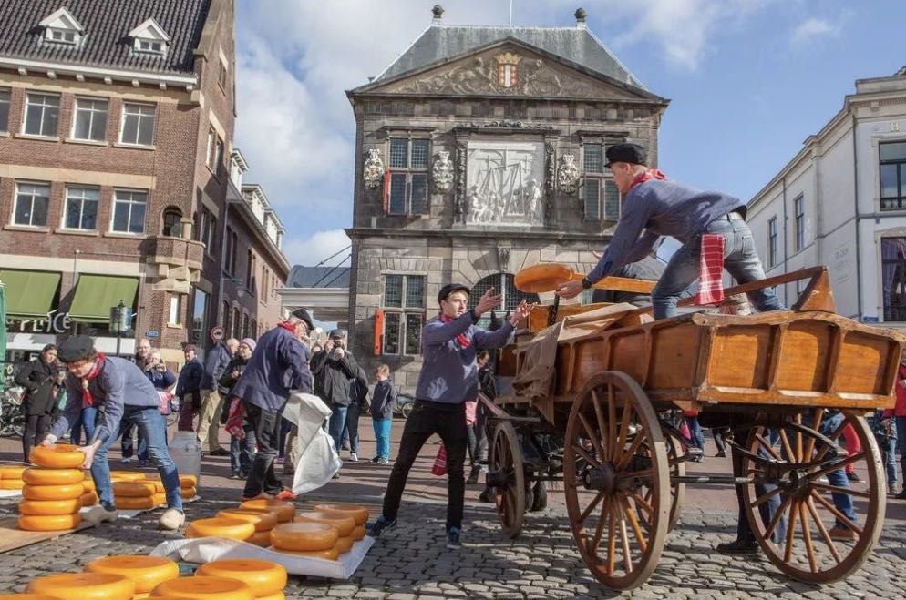 舌尖上的奶酪，荷兰小镇上的传统市场