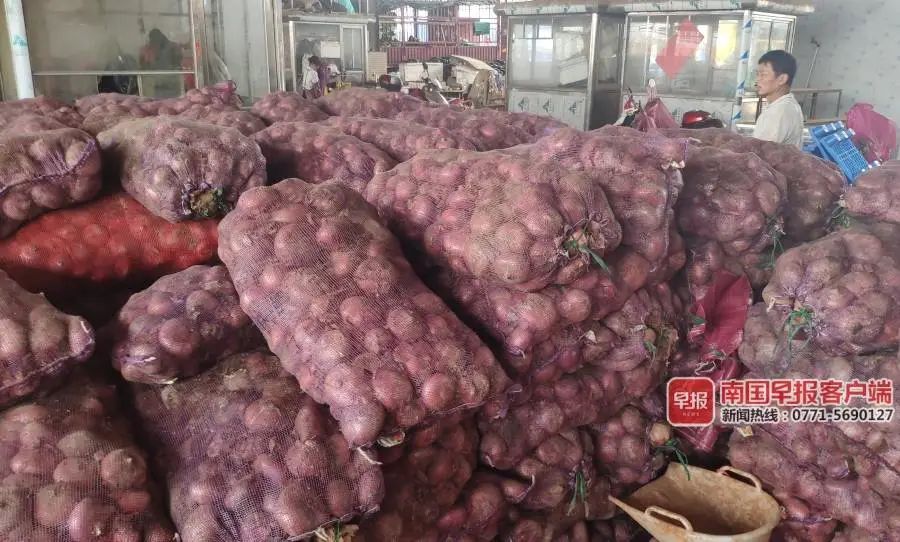 30多吨洋葱堆在南宁的一个市场，老板却“消失”，目前已报警