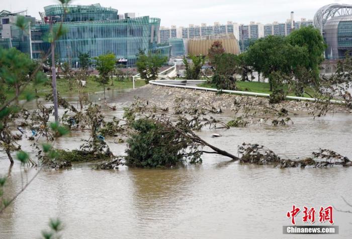 灾难的规模在不断扩大 韩政府将7个市郡划为暴雨特别灾区