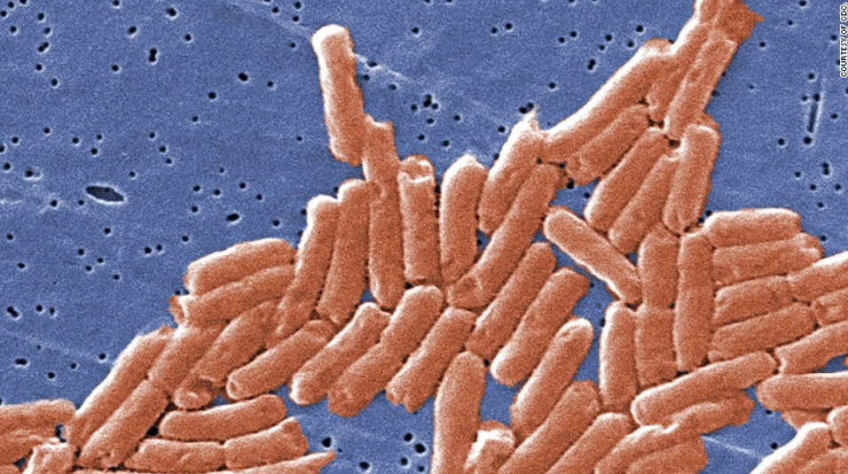 美国沙门氏菌疫情已感染了43个州的640人感染 来源或为洋葱