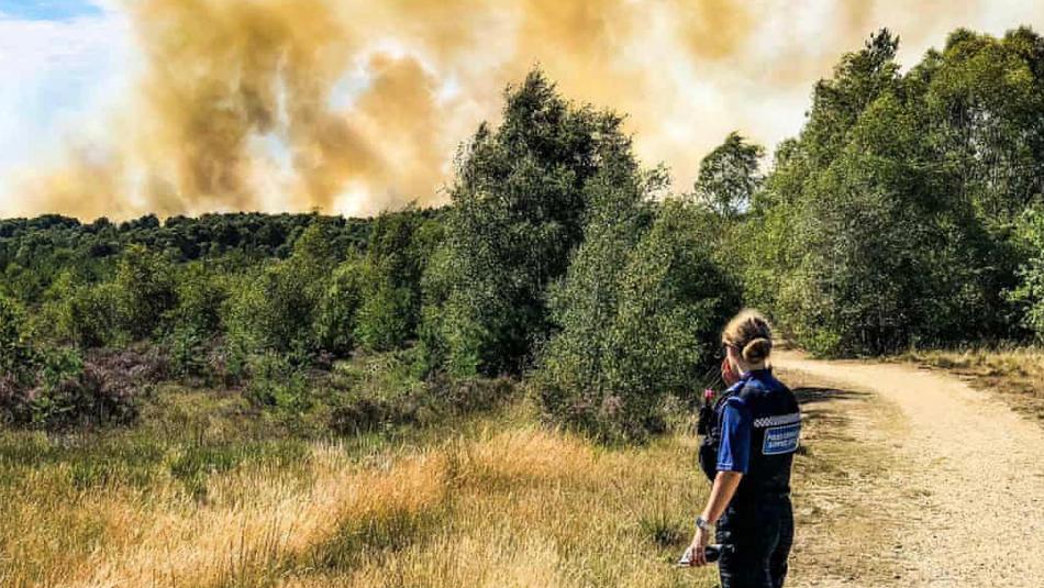 英国萨里大火的100多户居民分散了40公顷土地，100多户居民被疏散
