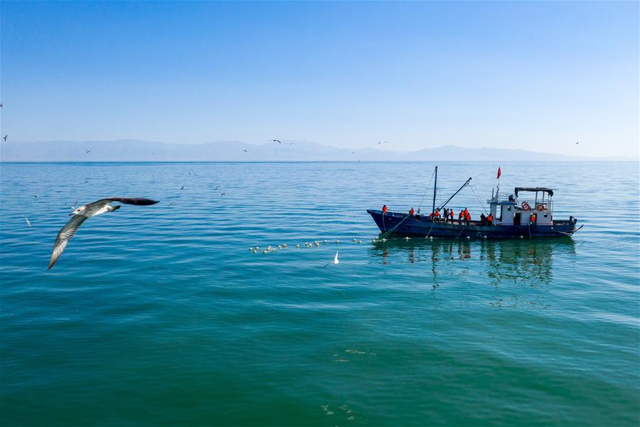  新疆博斯腾湖：渔民秋日忙碌