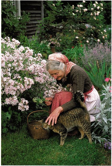 她花了三年时间建造花园，说：" 我不是学李子柒！