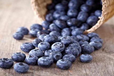 蓝莓的功效和功能有这些！女人吃蓝莓特别好