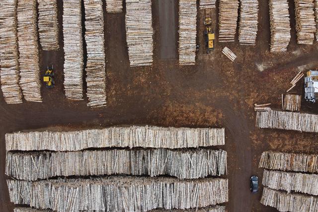 失去欧美市场，中国木制品加工企业走向何方？