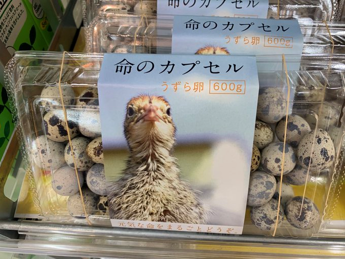 日本鹌鹑蛋包装热议网友：太可爱，下不去嘴（图）