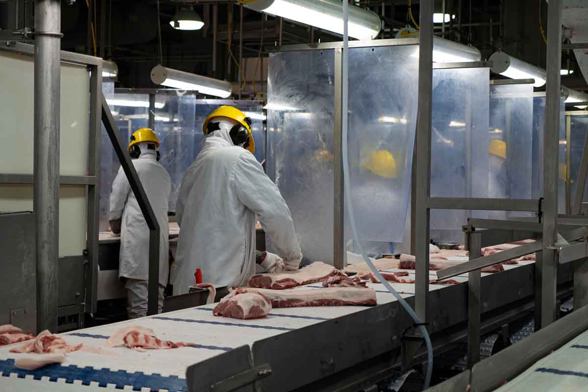  61名员工感染新冠肺炎 加拿大企业停止向中国出口猪肉