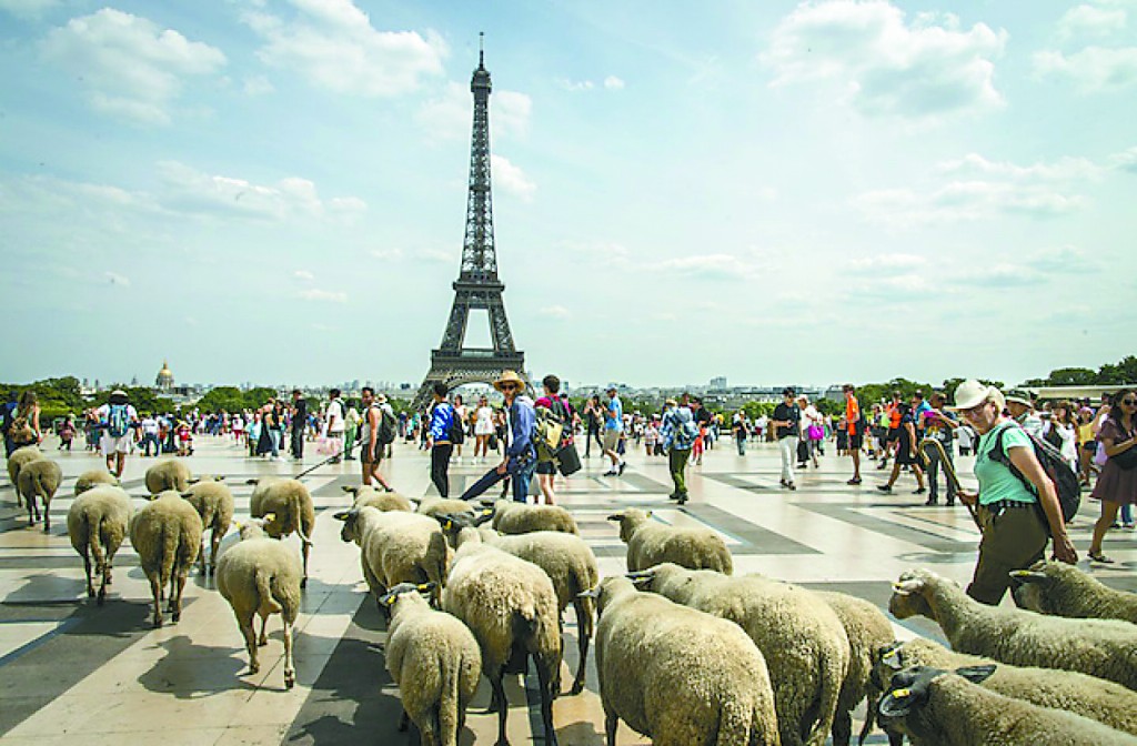 法国人怀念“巴黎的牧羊节”
