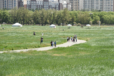 内蒙古包头：城市草地面积非但没有减少，反而增加了。