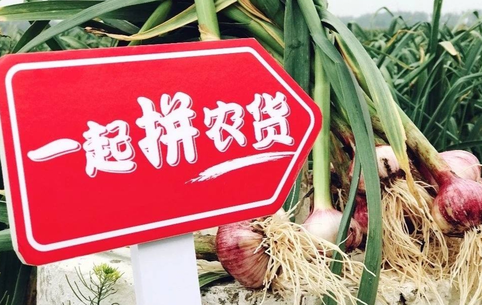 拼多多与上海农业农村委协作： “沪农优品馆”进到线上去
