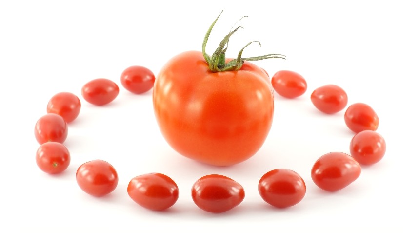 西红柿的Vc含量， 美白吃西红柿？