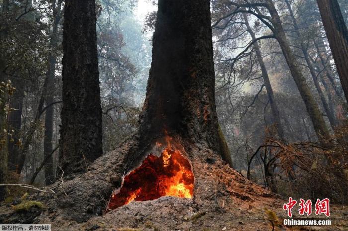 美加州火灾导致3000居民撤离 是由派对烟火装置引发的