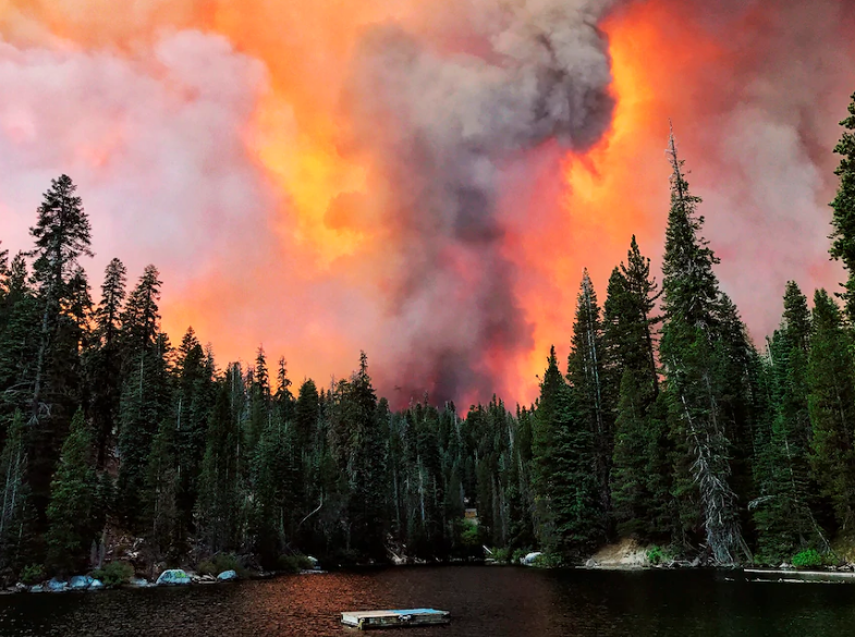 美加州山火规模破纪录 当地官员：山火季节尚未到来