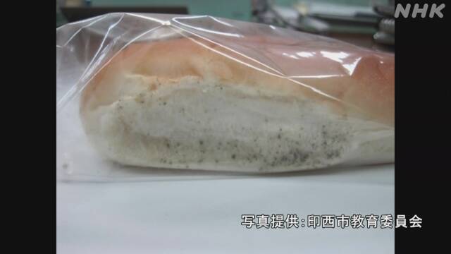 日本中学午餐面包出现"霉菌" 近600个"发霉包"
