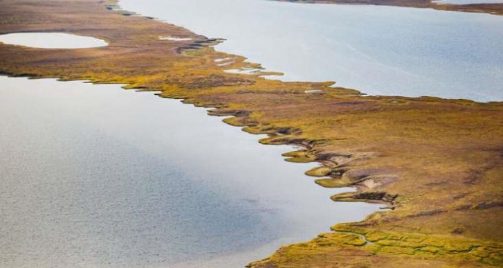 北极海冰的减少使得污染物向青藏高原的迁移