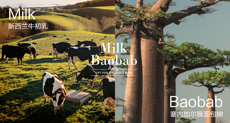 韩国专业护理品牌MilkBaobab迷珂宝进驻天猫国际