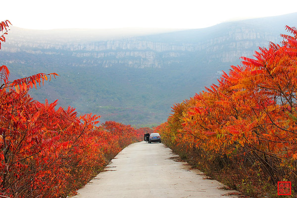 玉田八景的燕山叠翠游记，秋季去最好，红红火火的风景带