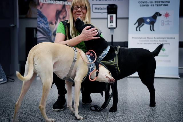 芬兰机场安排4条狗为旅客检测新冠病毒