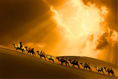 浙江一男子报团去敦煌旅游，自费骑骆驼摔成十级伤残。