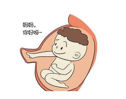 宝宝在妈妈肚子里时性格就定下来了？孕期的2种表现看透