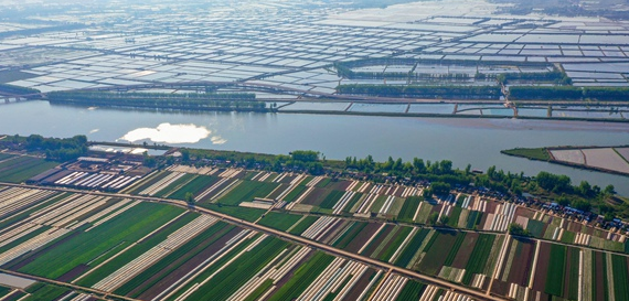 江苏盱眙：建设南京都市圈北翼绿色增长极
