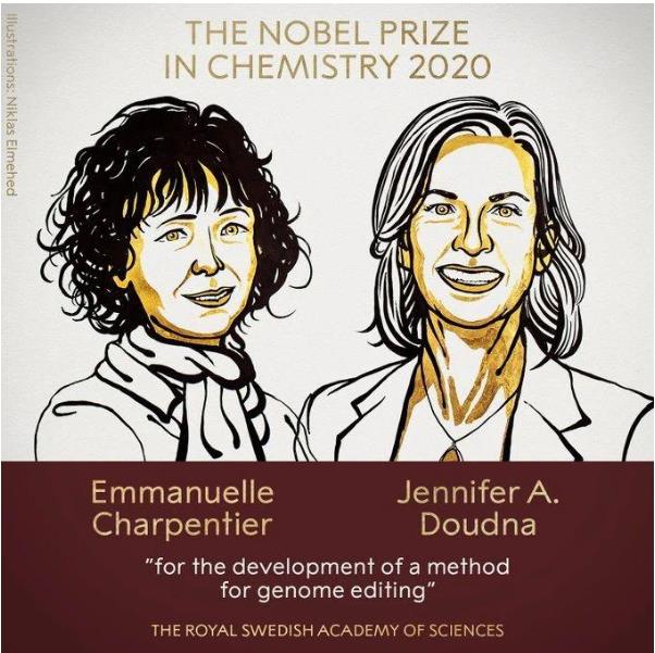 诺贝尔奖女性获得者：隐秘却伟大的女性身影