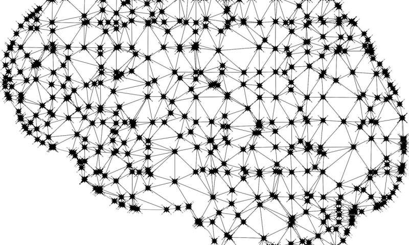 尖峰神经网络的突破能让人们在芯片中加入更复杂的人工智能