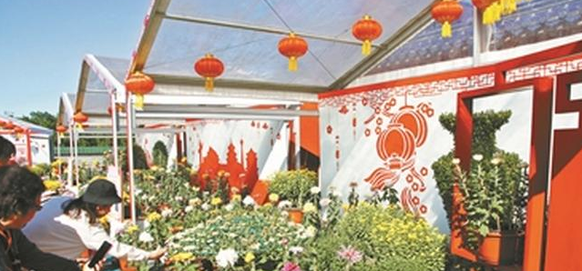 北京市属公园 31 个金秋园庆祝重阳活动