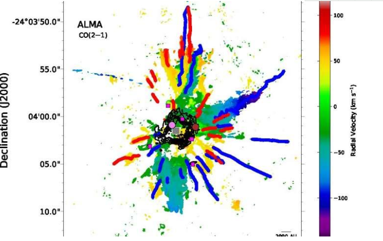 阿尔玛揭示的剧烈宇宙爆炸后大量原恒星的合并