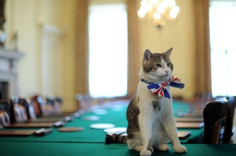 英国女王找新邻居：房客入住期间不能养猫