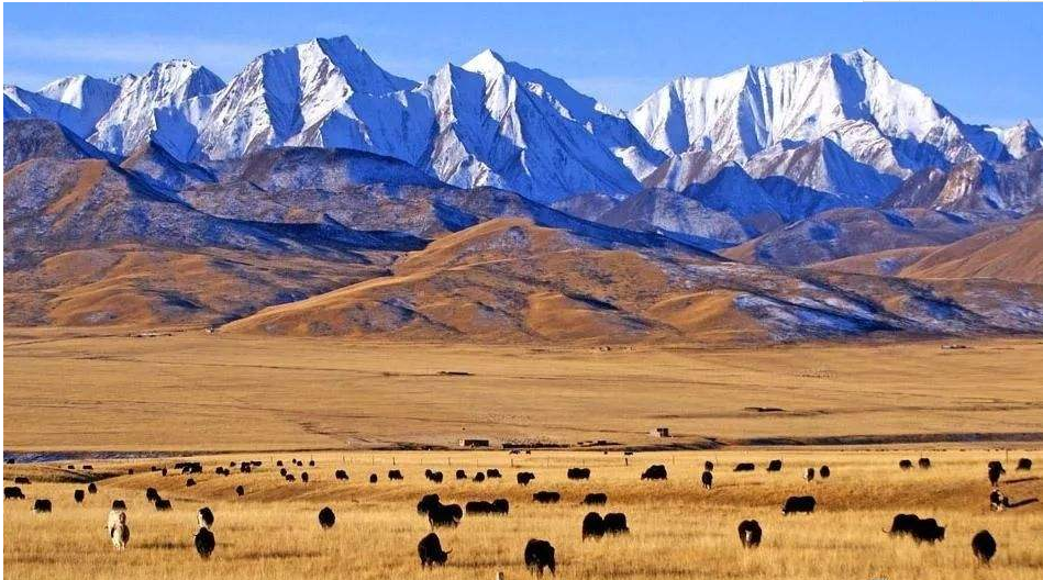  在公元8世纪，青藏高原一直是融合和交流的活跃渠道。