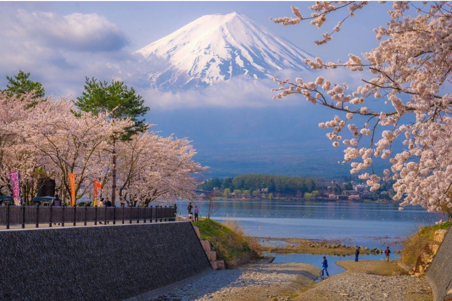 日本政府将调整旅游支持项目的适用范围，或对旅游业产生负面影响