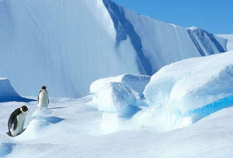 南极冰盖表面的融化面积占近20%