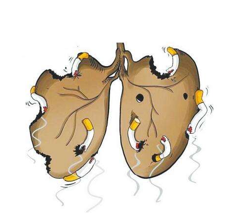 发现慢速阻塞性肺铅化合物能有效地抑制呼吸道炎症