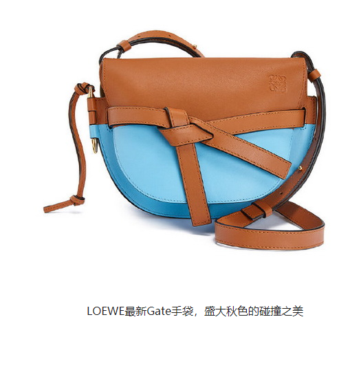 Loewe最新的门手提包，秋天大碰撞的美丽