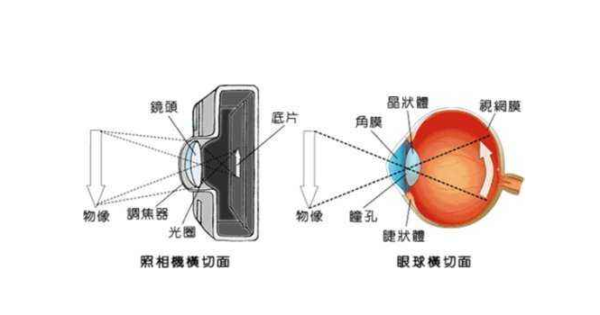一种模仿人眼知觉的新型光学传感器
