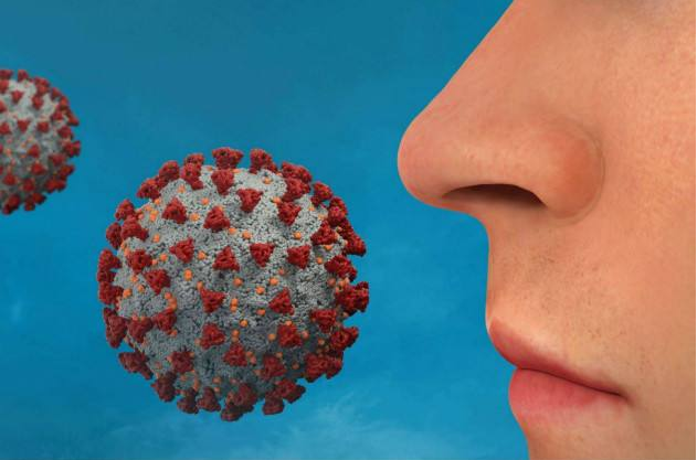 新冠状病毒可能通过鼻子进入大脑，感染患者的神经症状将得到解决