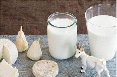 羊奶粉的功效，羊奶粉能空腹喝吗？