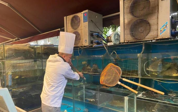 长江流域渔民退捕“上岸”实现扩产，致富的新目标