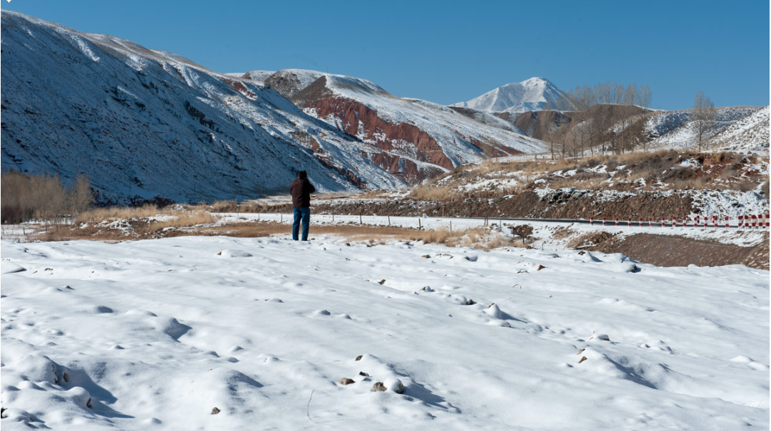 在祁连山雪地上奔跑的100多只西藏野驴
