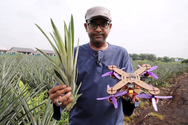 马来西亚研究人员用菠萝叶造无人机 ，性价比超好